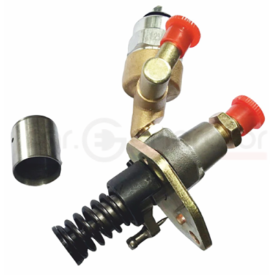Pompa Iniezione Carburante con Solenoide per Motore monocilindrico Diesel 186-188-192 F e FA